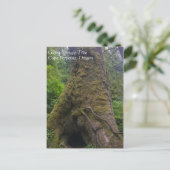 巨大なトウヒの木、永久岬、または ポストカード (スタンド正面)