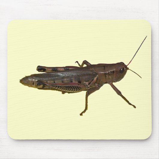 巨大なバッタ マウスパッド (正面)