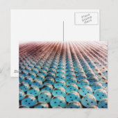 巨大なバブルラップ ポストカード (正面/裏面)