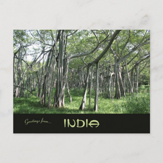 巨大なバンヤンツリーチェンナイTamil Naduインド ポストカード (正面)