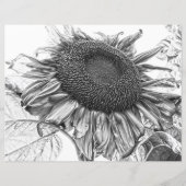 巨大なヒマワリヴィンテージ白黒アート (正面)