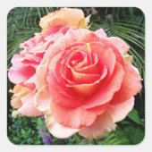 巨大なピンクのローズクローズアップ写真モダン美 スクエアシール (正面)