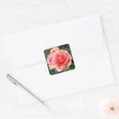巨大なピンクのローズクローズアップ写真モダン美 スクエアシール (封筒)