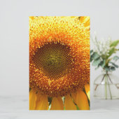 巨大なマンモスのヒマワリ写真 便箋 (スタンド正面)