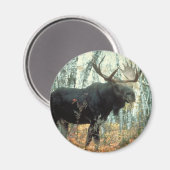 巨大なムース マグネット (正面/裏面)