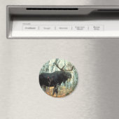 巨大なムース マグネット (インサイチュ (食洗機))