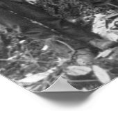 巨大なモミの木の準備秋, 1902 ポスター (角)