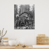 巨大なモミの木の準備秋, 1902 ポスター (キッチン)