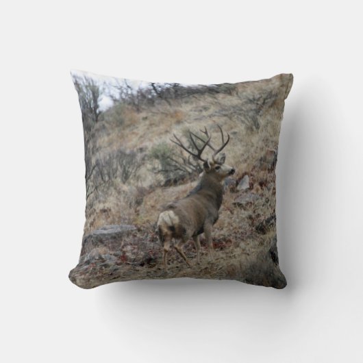 巨大なラバシカの木びき台 クッション (正面)