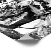 巨大なレッドウッドでポーズを取るc.1889 ポスター (角)