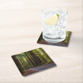 巨大なレッドウッドカリフォルニアの道 スクエアペーパーコースター (インサイチュ)