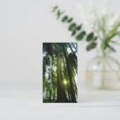 巨大なレッドウッド 名刺 (スタンド正面)