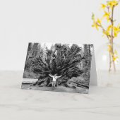 巨大なレッドウッ空白のド – グリーティングカードの内側 カード (黄色い花)