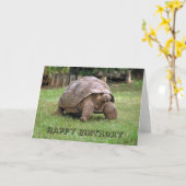 巨大な亀のグリーティングカード カード (黄色い花)