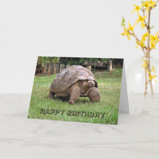 巨大な亀のグリーティングカード カード (黄色い花)