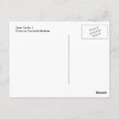 巨大な亀、1 ポストカード (裏面)