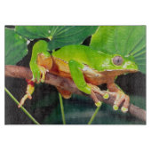 巨大な二色猿Treefrog、Phyllomedusa カッティングボード (正面)