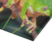 巨大な二色猿Treefrog、Phyllomedusa カッティングボード (角)