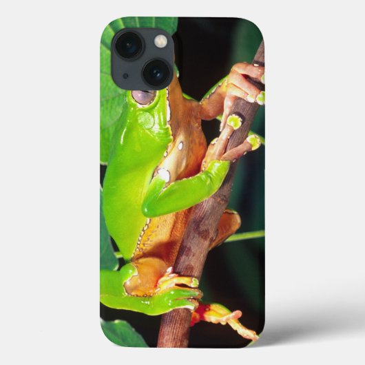 巨大な二色猿Treefrog、Phyllomedusa Case-Mate iPhoneケース (裏面)