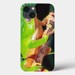 巨大な二色猿Treefrog、Phyllomedusa iPhone 13ケース