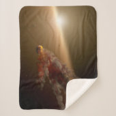 巨大な噴火のまわりに星Ngc 2547-Id8. シェルパブランケット (正面)