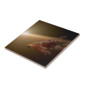 巨大な噴火のまわりに星Ngc 2547-Id8. タイル (側面)