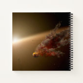 巨大な噴火のまわりに星Ngc 2547-Id8. ノートブック (裏面)