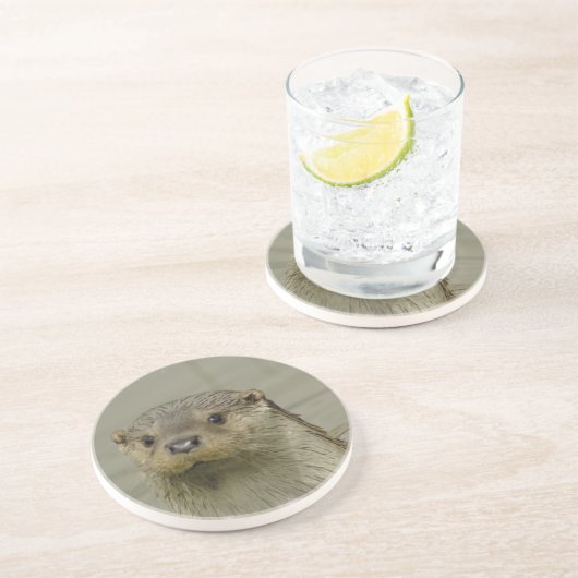 巨大な川カワウソのコースター コースター (側面)