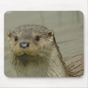 巨大な川カワウソのマウスパッド マウスパッド