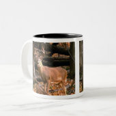 巨大な木びき台!  マグ (正面左)