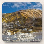 巨大な温泉 コースター (正面)