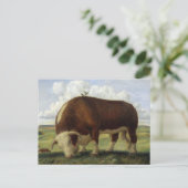 巨大な牛 ポストカード (スタンド正面)