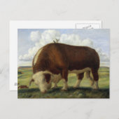 巨大な牛 ポストカード (正面/裏面)