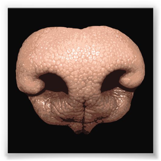 巨大な犬の鼻 フォトプリント            (正面)