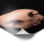 巨大な犬の鼻 フォトプリント            (角)