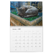 巨大な猫は包囲の下にシカゴを置きました! カレンダー (1月 2027)