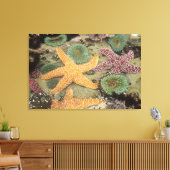 巨大な緑のアネモネと黄海の星 キャンバスプリント (インサイチュ (リビング))