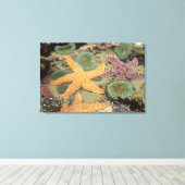 巨大な緑のアネモネと黄海の星 キャンバスプリント (インサイチュ (ウッドフロア))