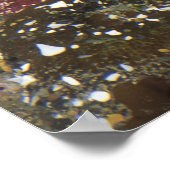 巨大な緑のアネモネと黄海の星 ポスター (角)