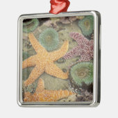 巨大な緑のアネモネと黄海の星 メタルオーナメント (左)