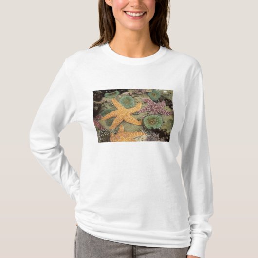 巨大な緑のイソギンチャクとオークルヒトデ Tシャツ (正面)
