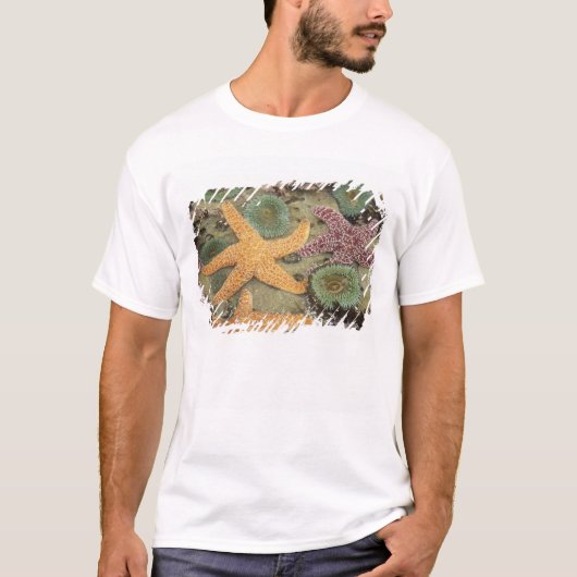 巨大な緑のイソギンチャクとオークルヒトデ Tシャツ (正面)