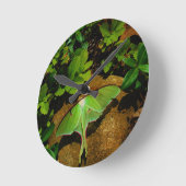 巨大な緑のルナガ ラウンド壁時計 (傾斜)