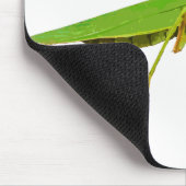 巨大な緑の祈るカマキリのマウスパッド マウスパッド (コーナー)