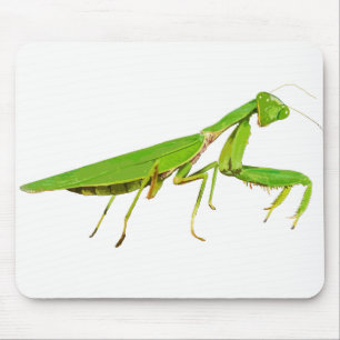 巨大な緑の祈るカマキリのマウスパッド マウスパッド