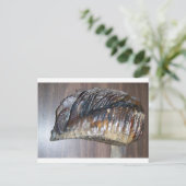 巨大な虫の歯 ポストカード (スタンド正面)