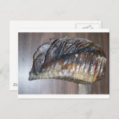 巨大な虫の歯 ポストカード (正面/裏面)