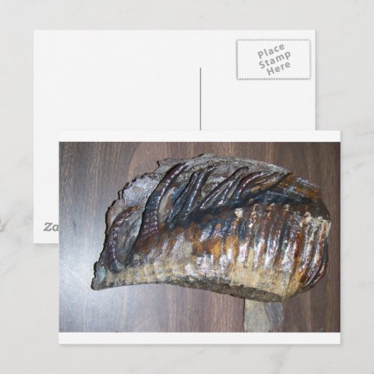 巨大な虫の歯 ポストカード (正面/裏面)