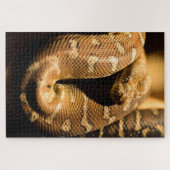 巨大な野生ヘビ ジグソーパズル (横)