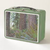 巨大な針葉樹林の写真 メタルランチボックス (正面)